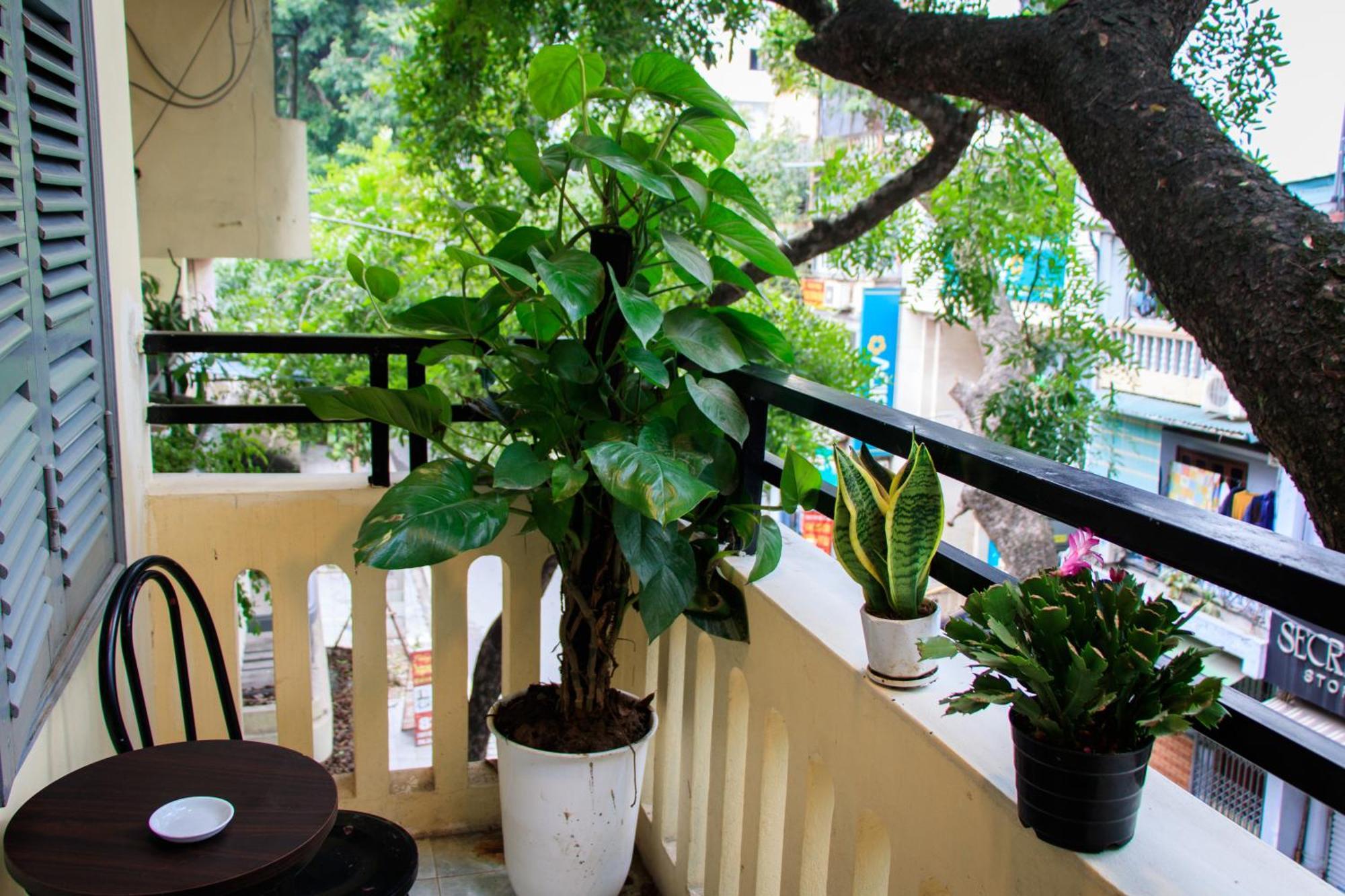 Hanoi Family Homestay Exterior photo