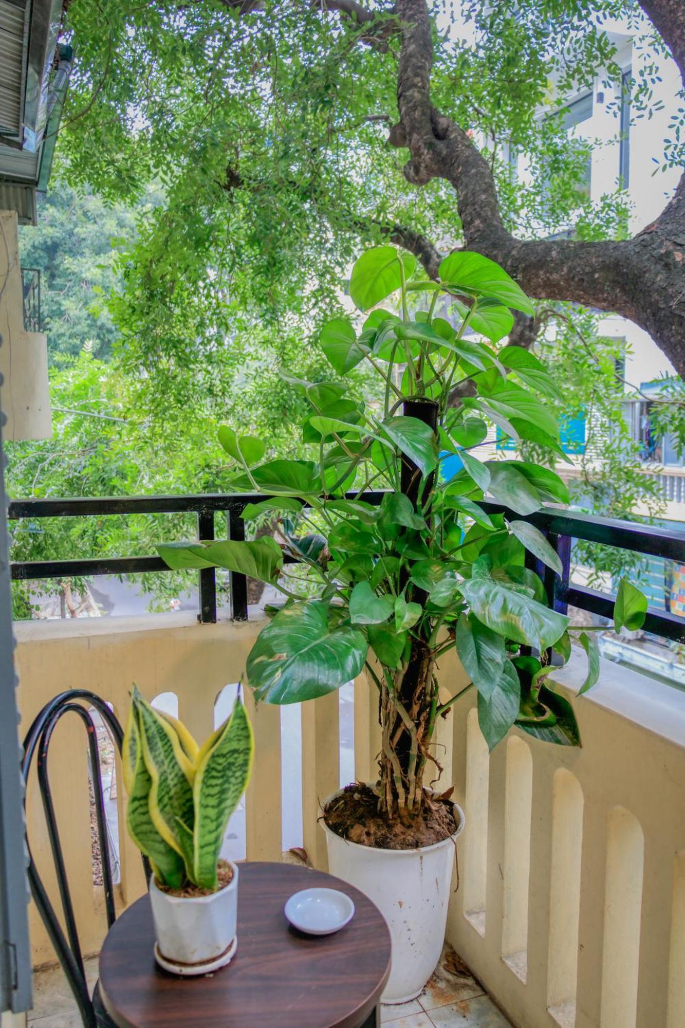 Hanoi Family Homestay Exterior photo